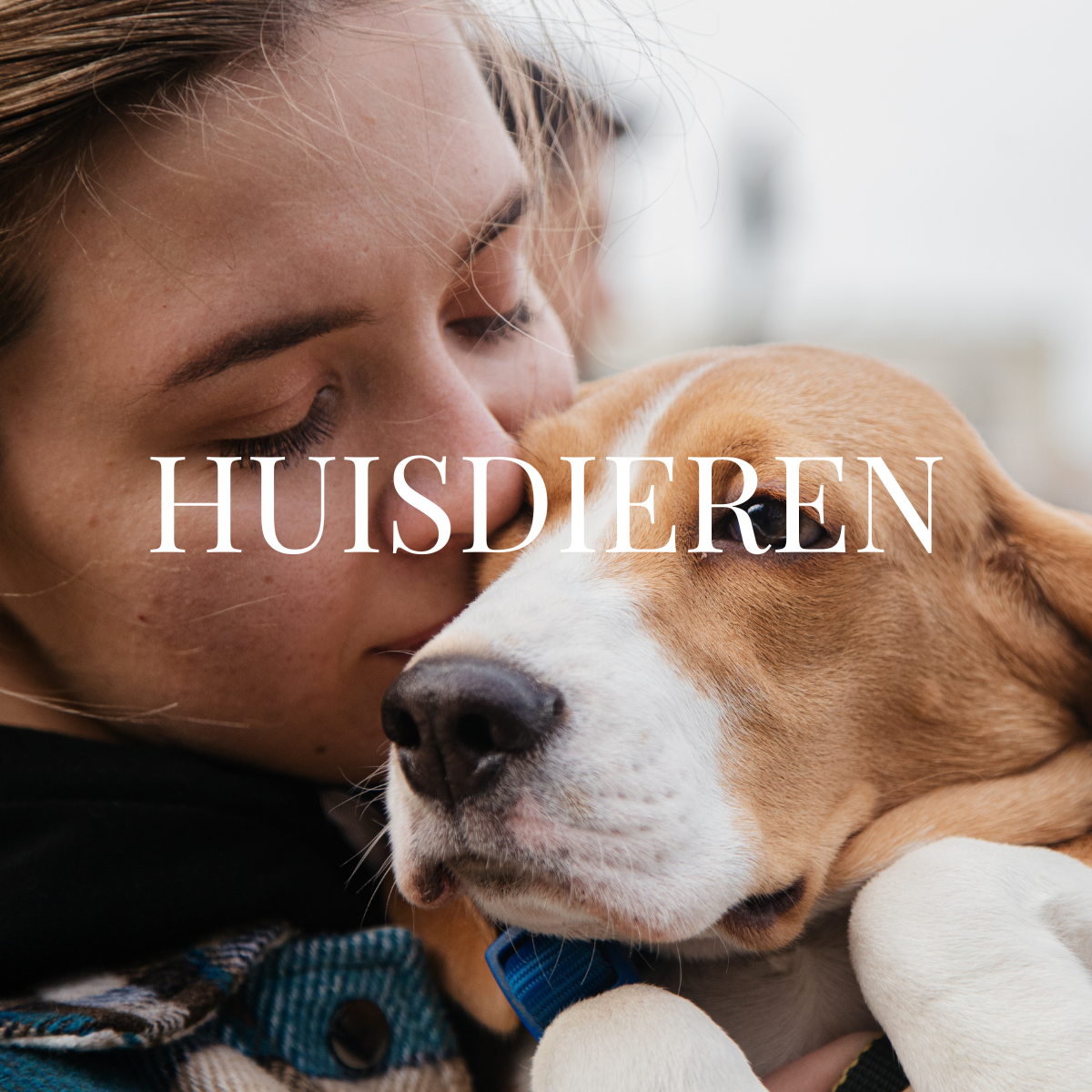 Huisdieren